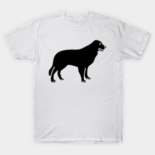 Border Collie T-Shirt